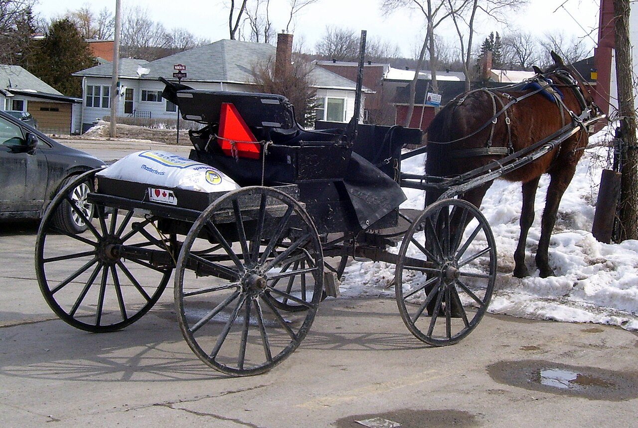 Horse and buggy