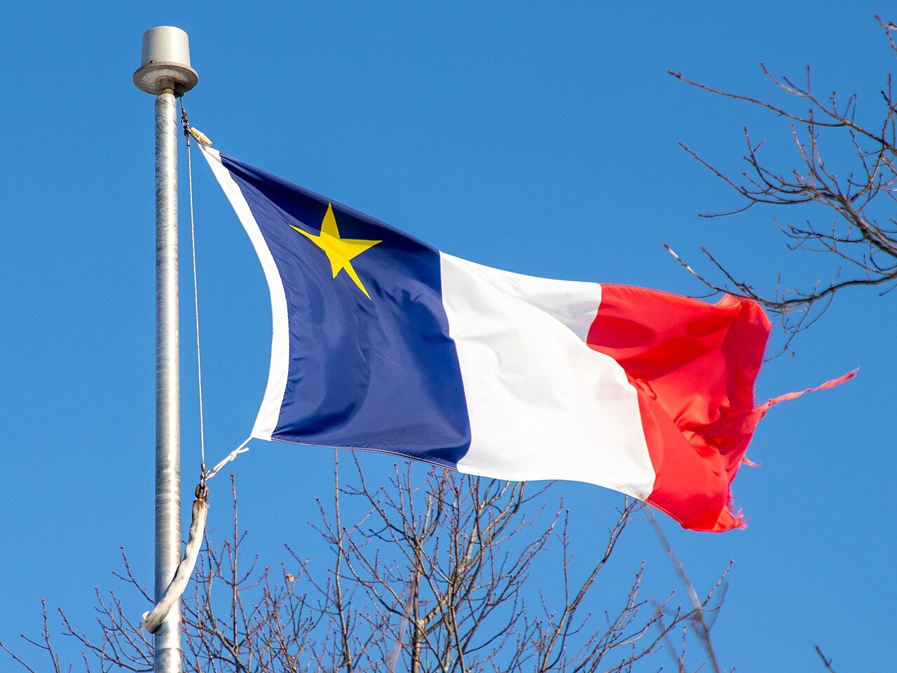 Flag with a gold star